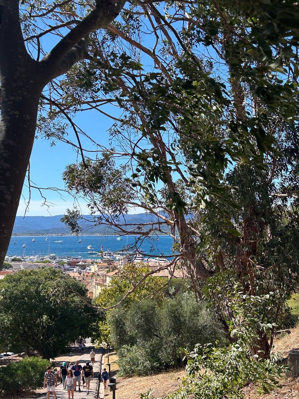 Vertical photo