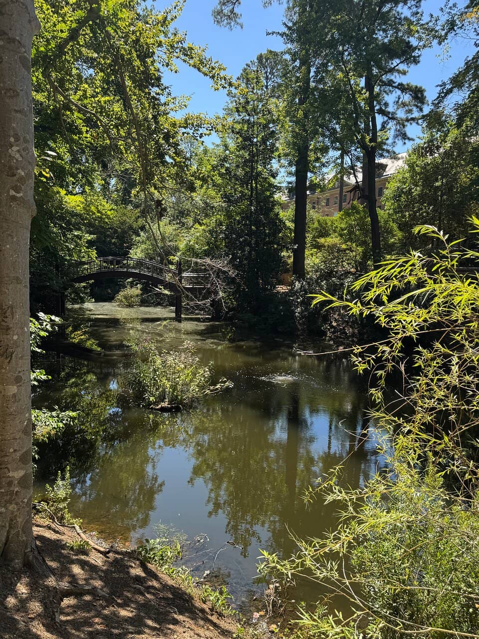 Serene Water Reflections