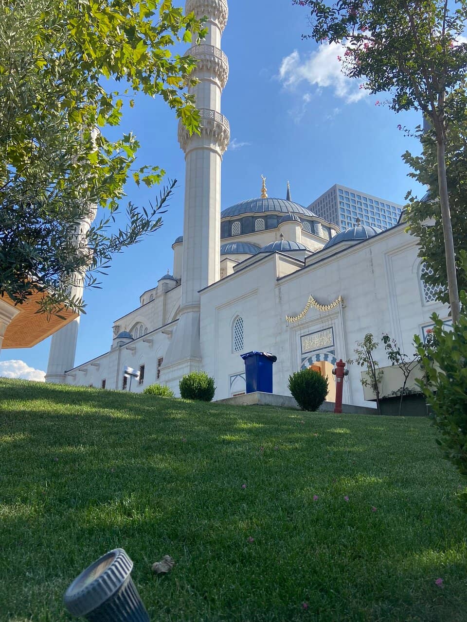 Cultural Significance