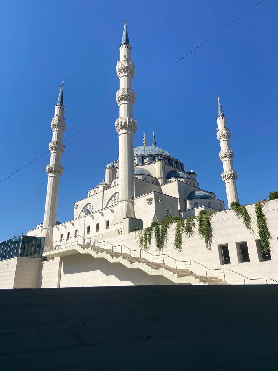 Vertical photo