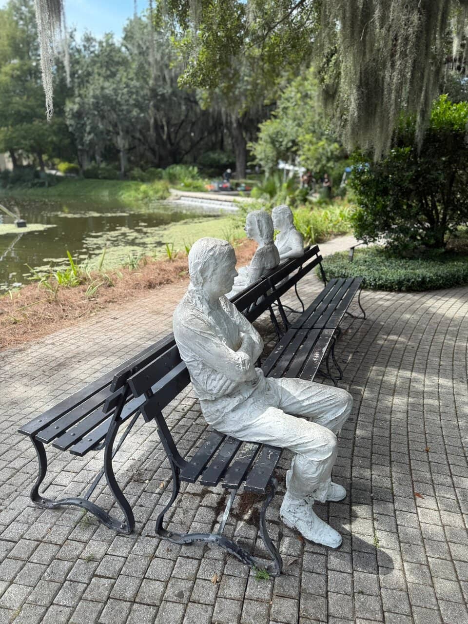 Louisiana Iris Blooms