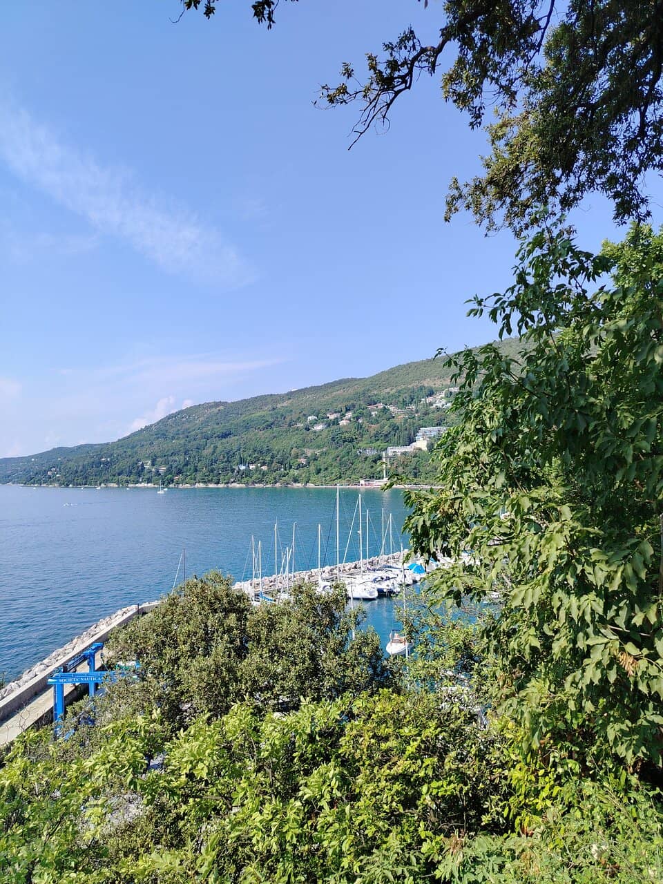 Vertical photo