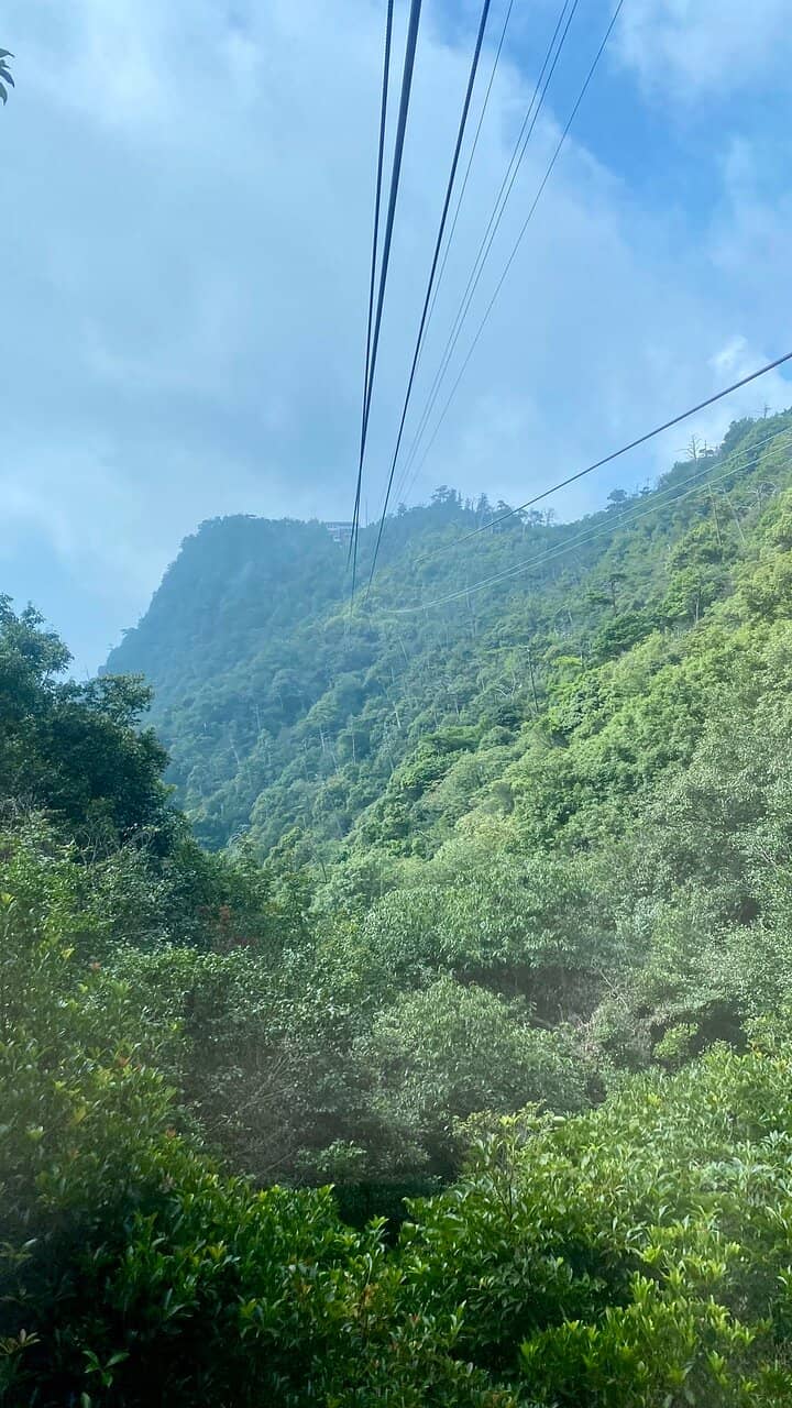 Itsukushima Shrine's Floating Torii Gate