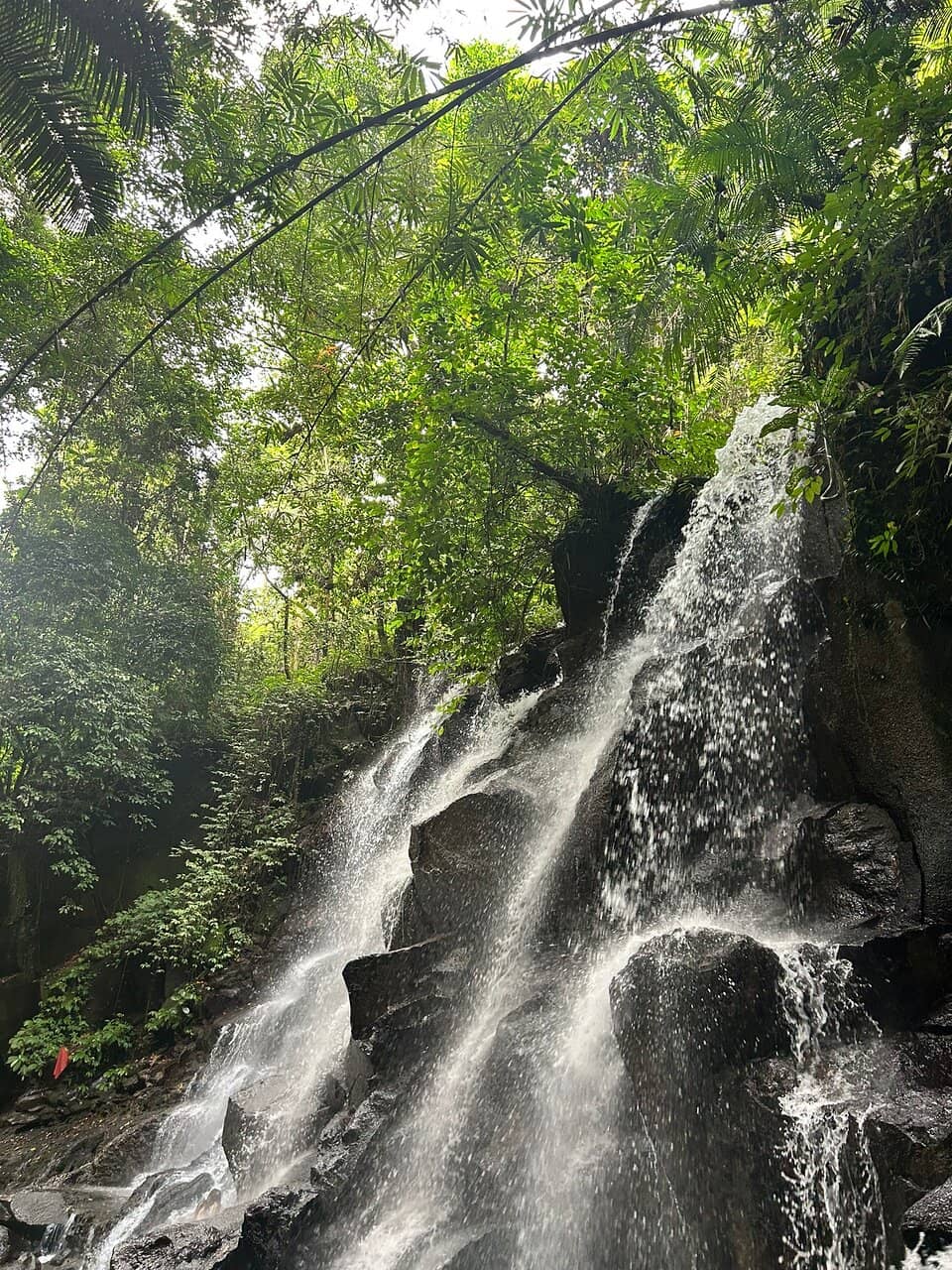 Vertical photo