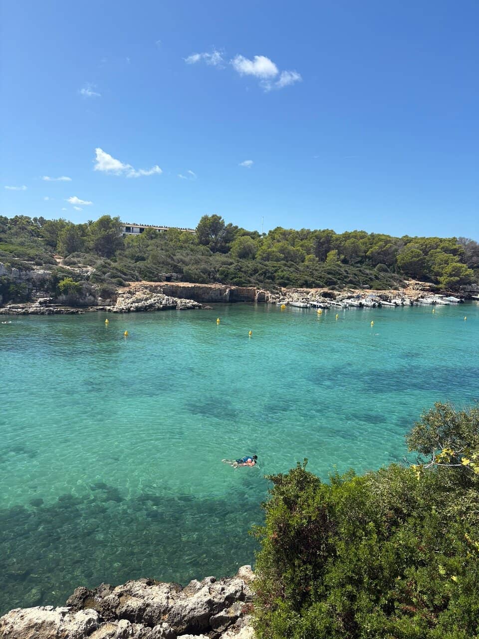 Turquoise Waters