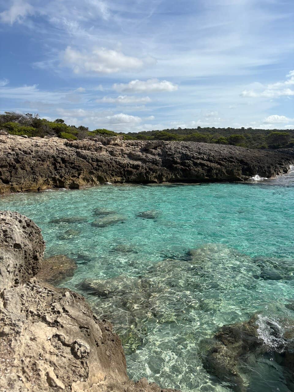 Pine-Sheltered Sands