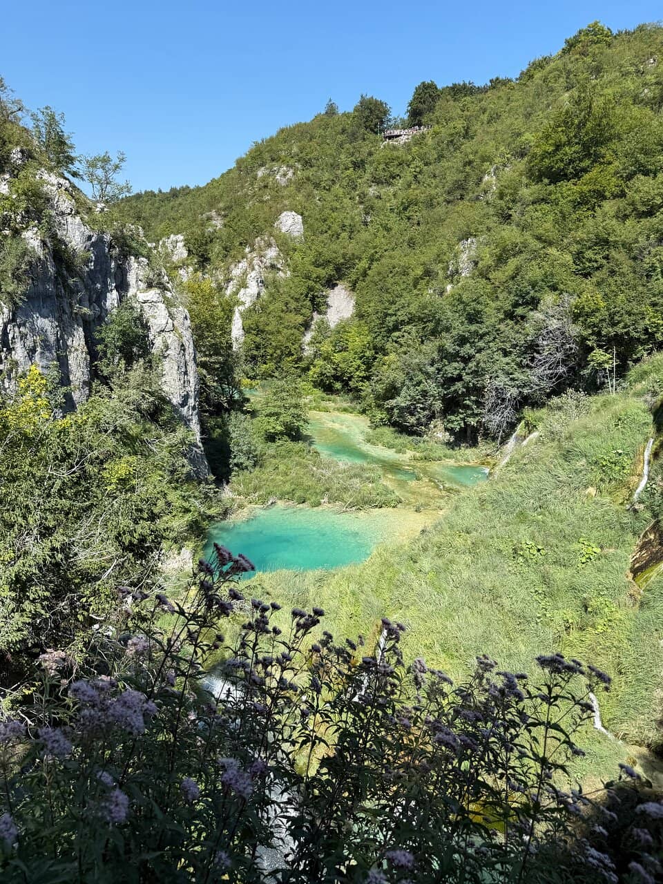 Vertical photo