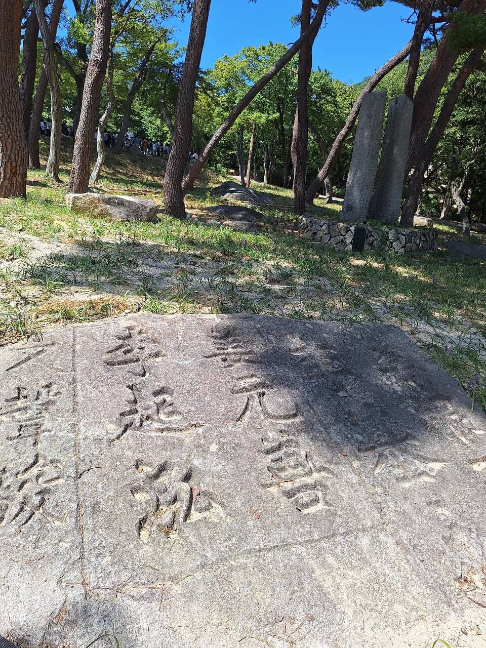 Vertical photo