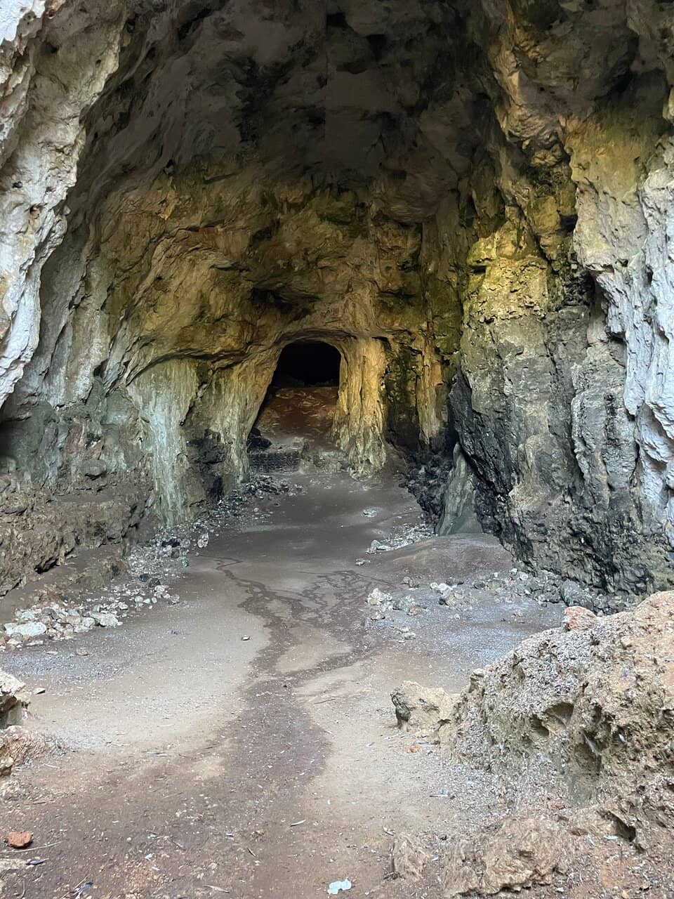 Vertical photo