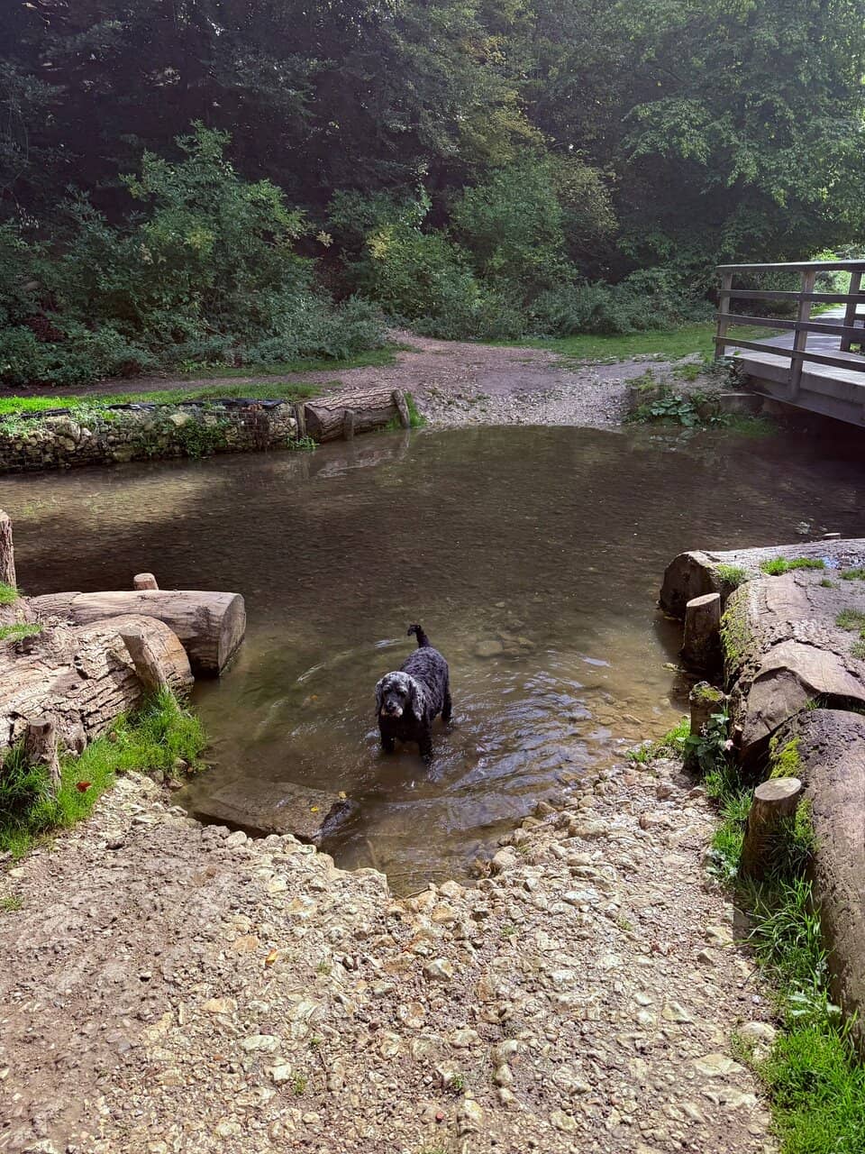 The 'Love Bridge'