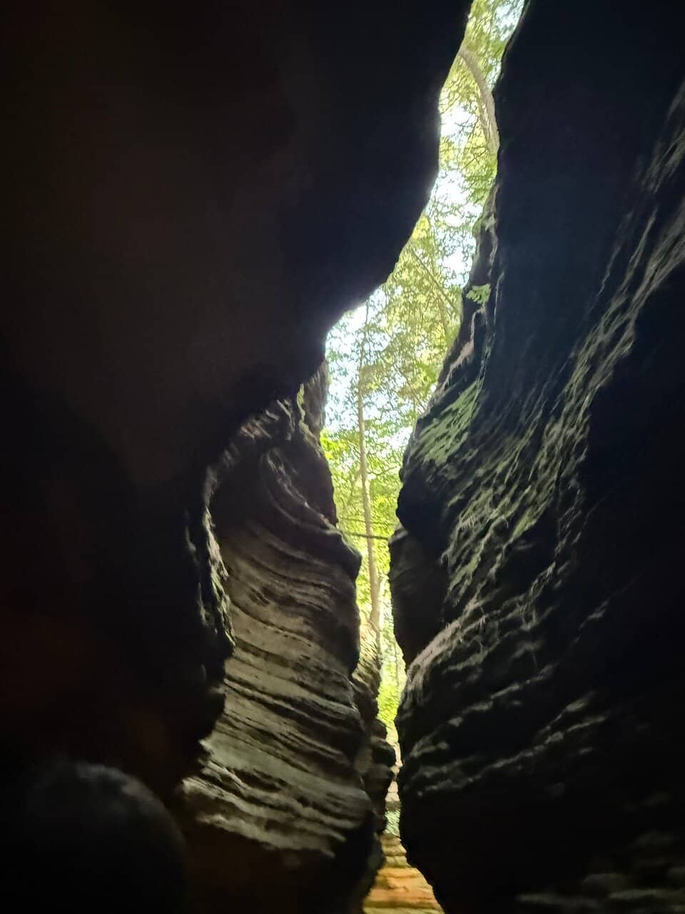 Winding Canyon Ride