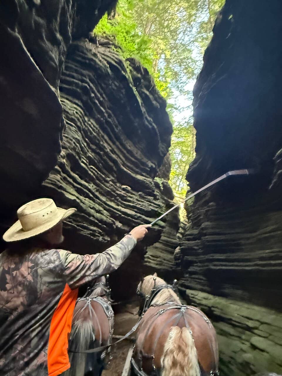 Vertical photo