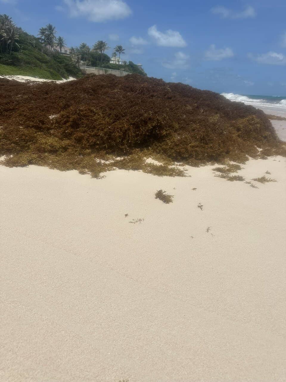 Expansive Sandy Shoreline