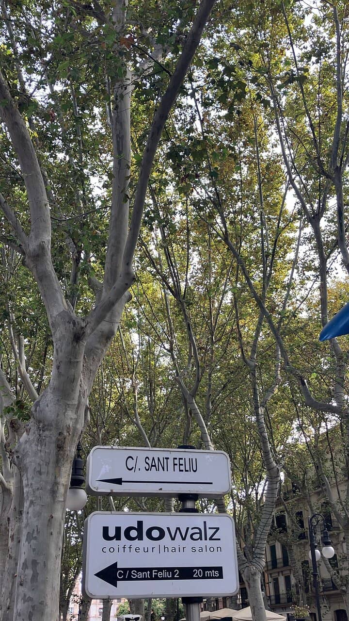 Vibrant Nightlife Hub