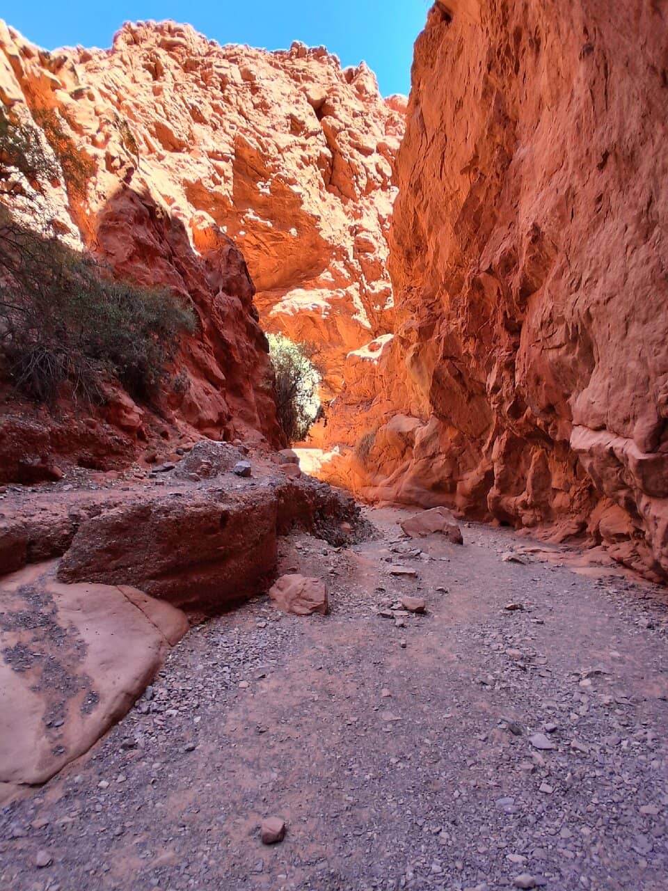 Cave Entrance