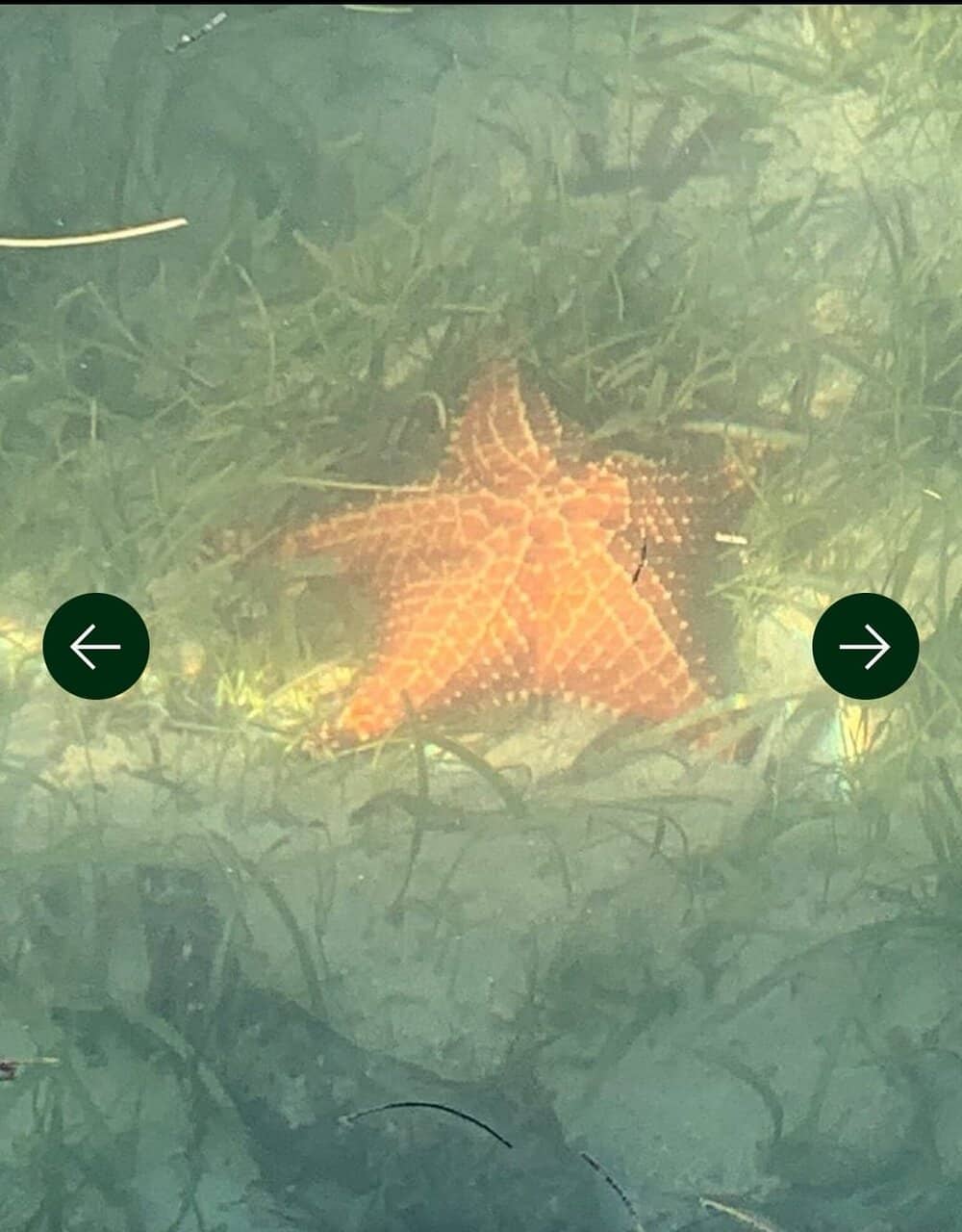 Vibrant Underwater World