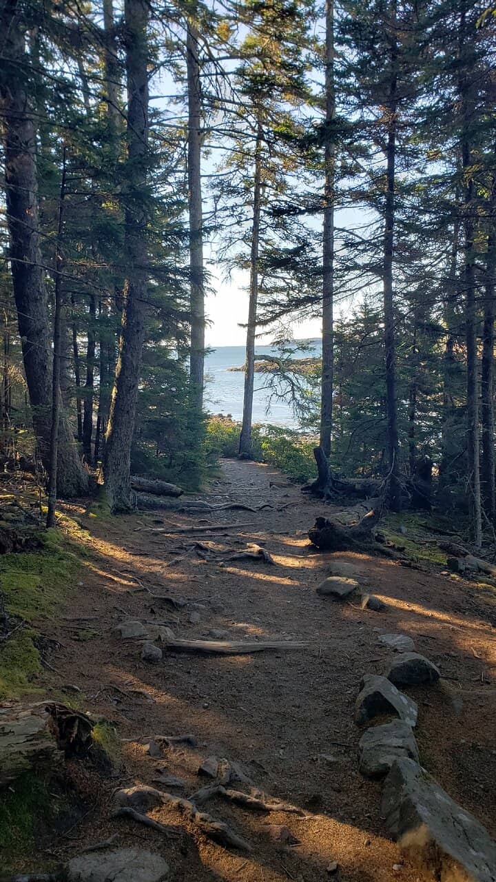 Vertical photo