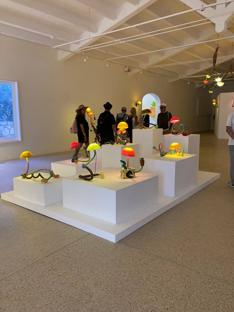 Contemporary Art Exhibitions