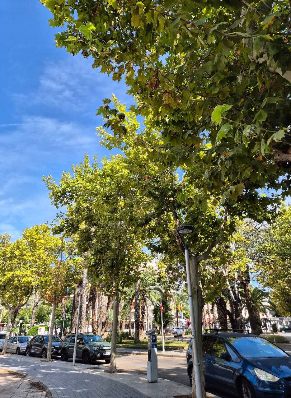 Vertical photo