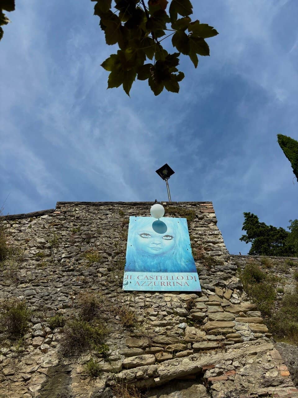 Vertical photo