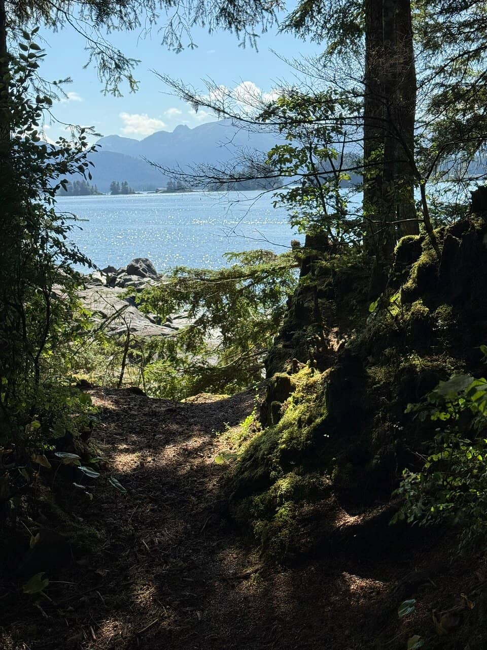 Temperate Rainforest Immersion