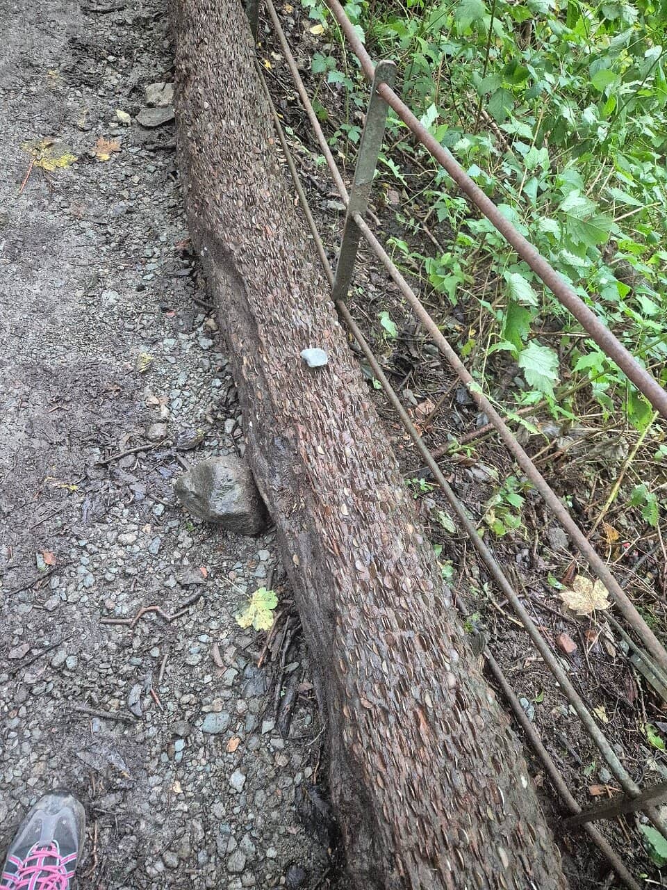 Stock Ghyll Force Waterfall