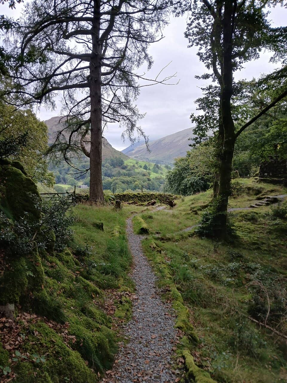 Cozy, Informal House Experience