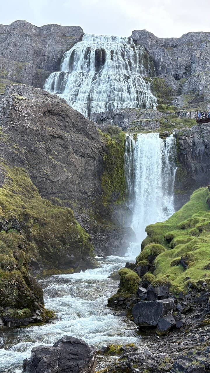 Vertical photo
