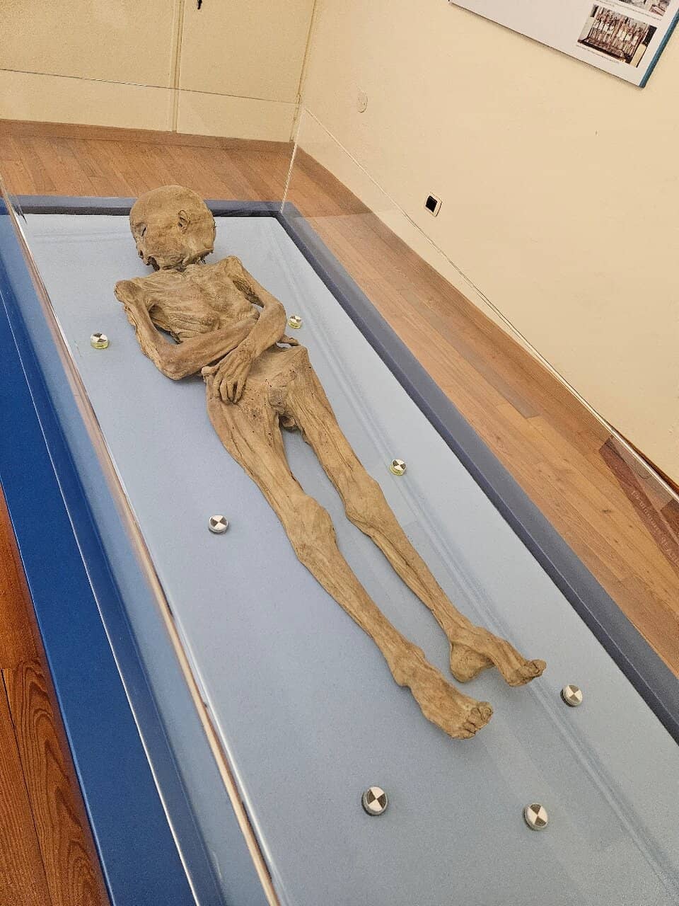 Prehistoric Varese Finds
