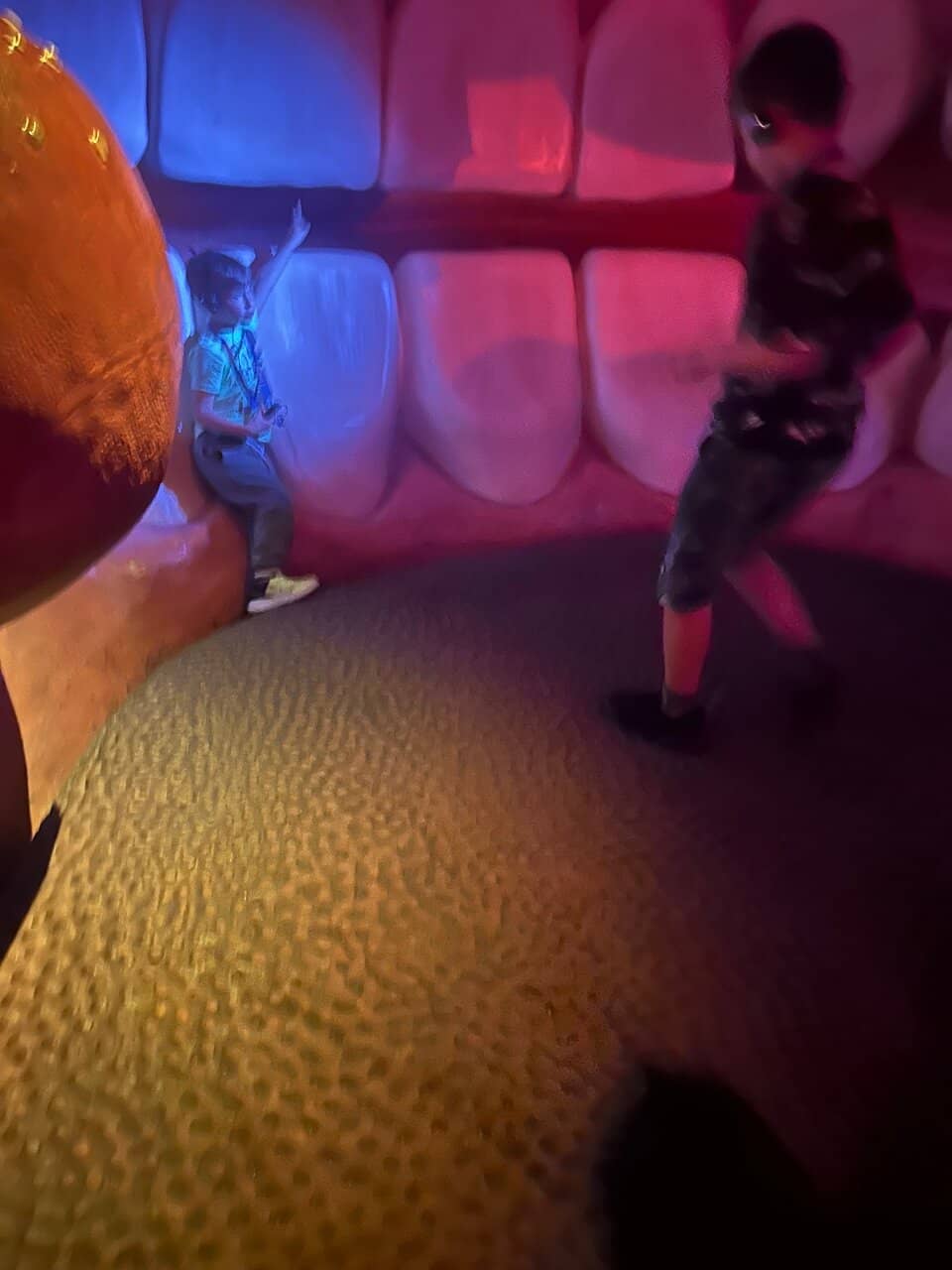 Journey Through Anatomy