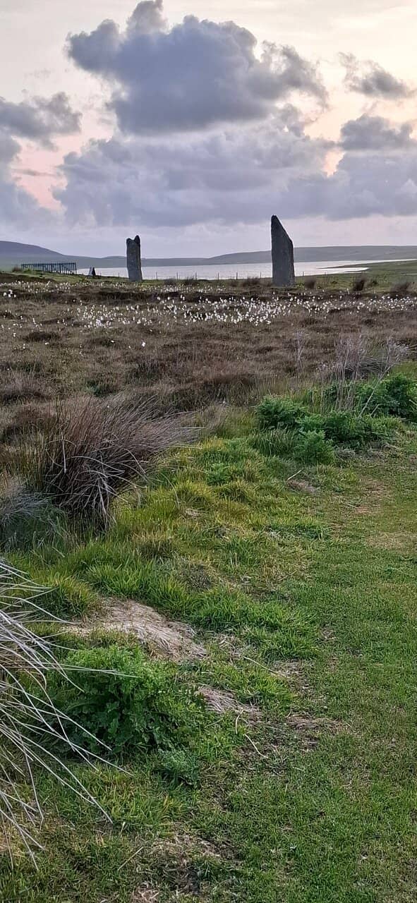 The Henge Ditch