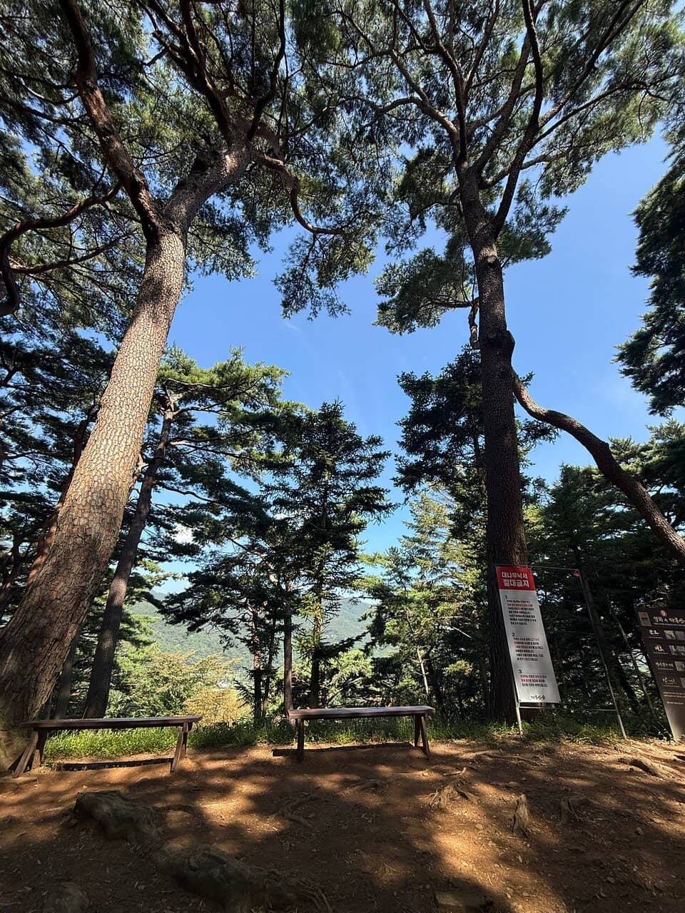 Peaceful Nature Escape