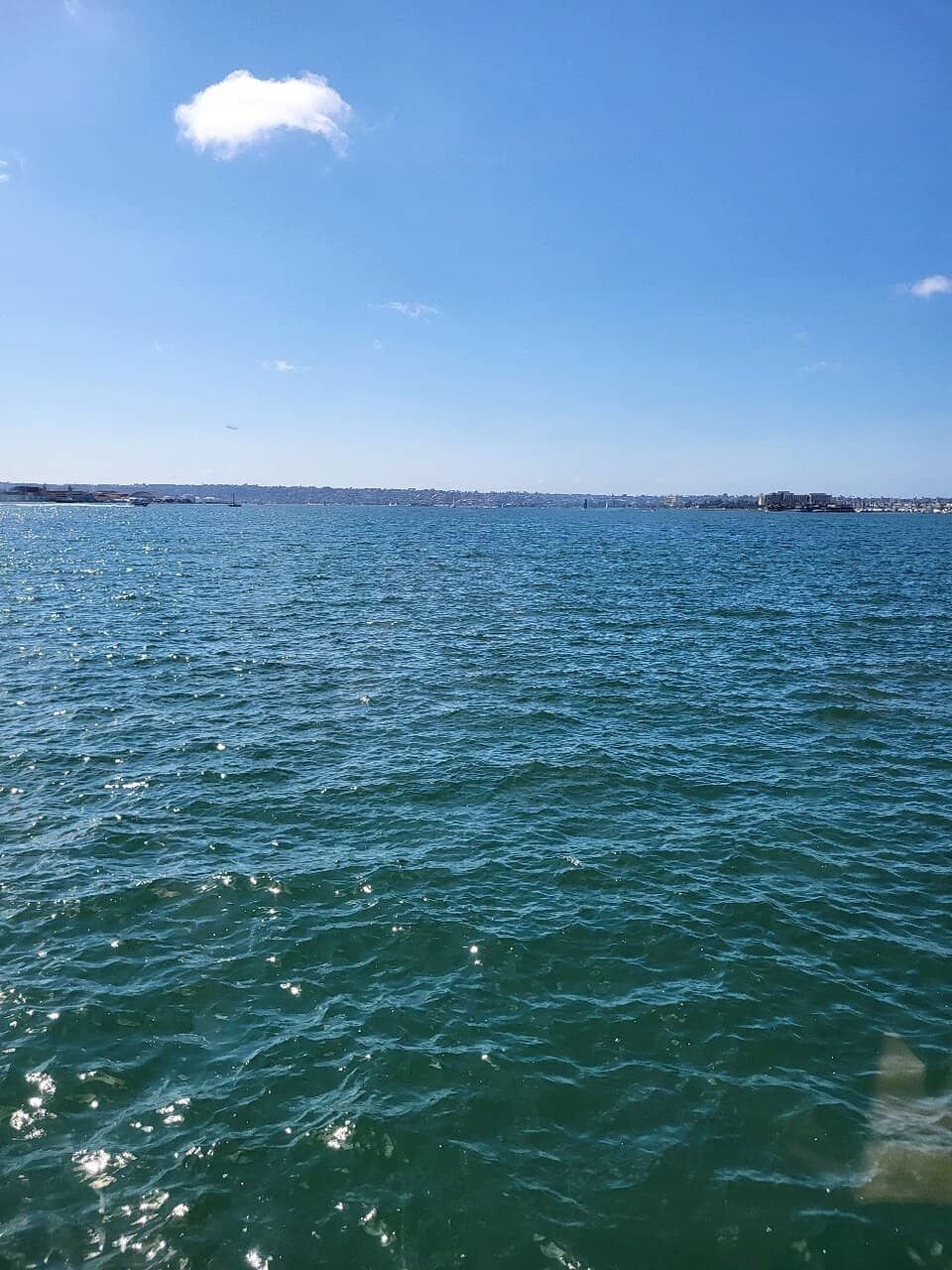 Classic Fish & Chips