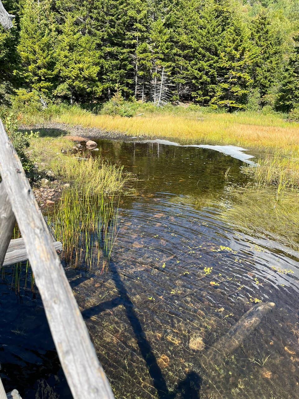 Boardwalk Sections