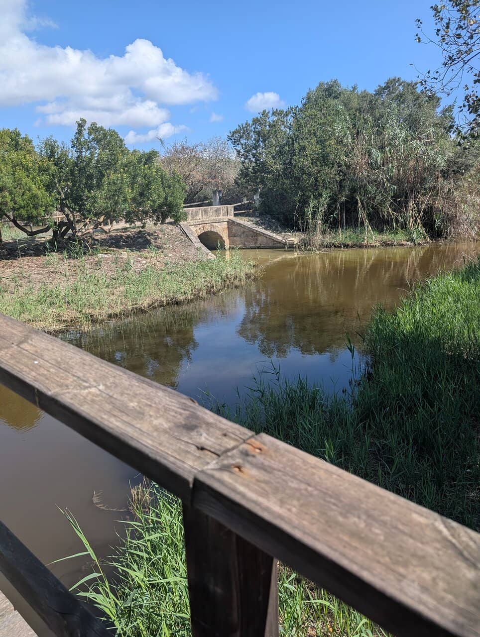 Bird Hides