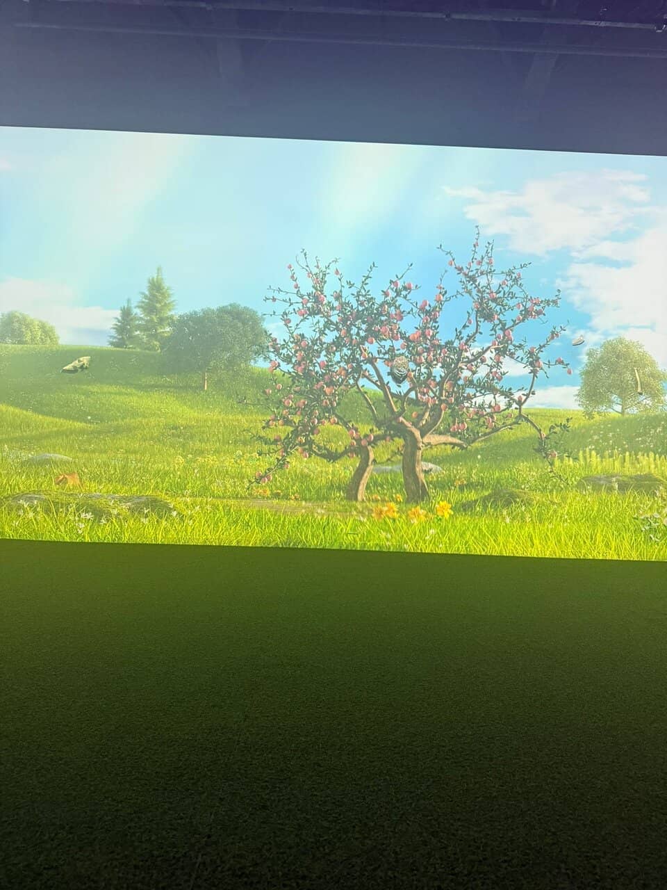 Choi Family Residence