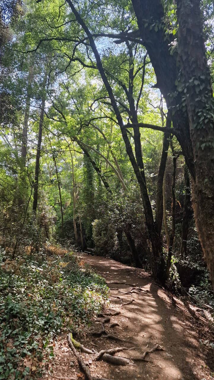 The Majestic Millomeris Waterfall