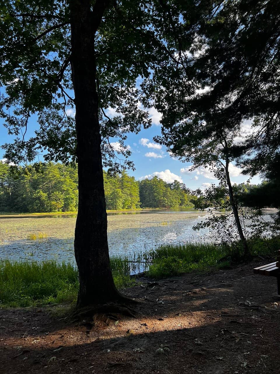 Historical Significance