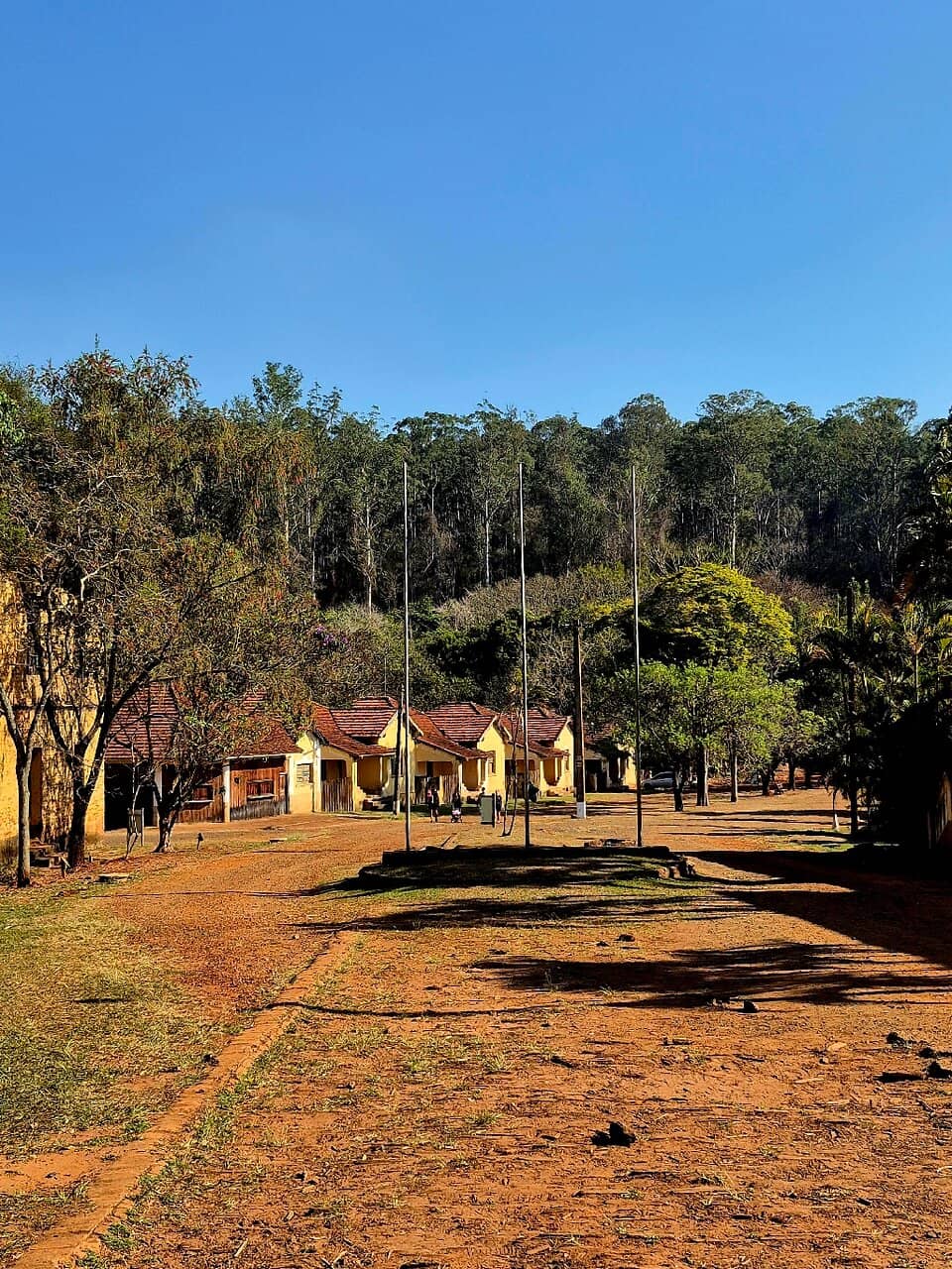 Eucalyptus Trails