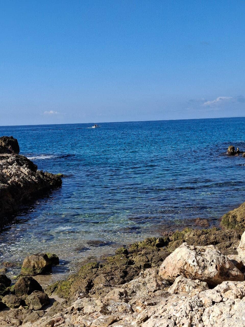 Fountains & Sculptures