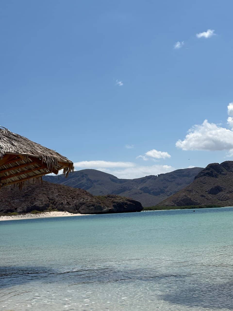 El Hongo (The Mushroom)