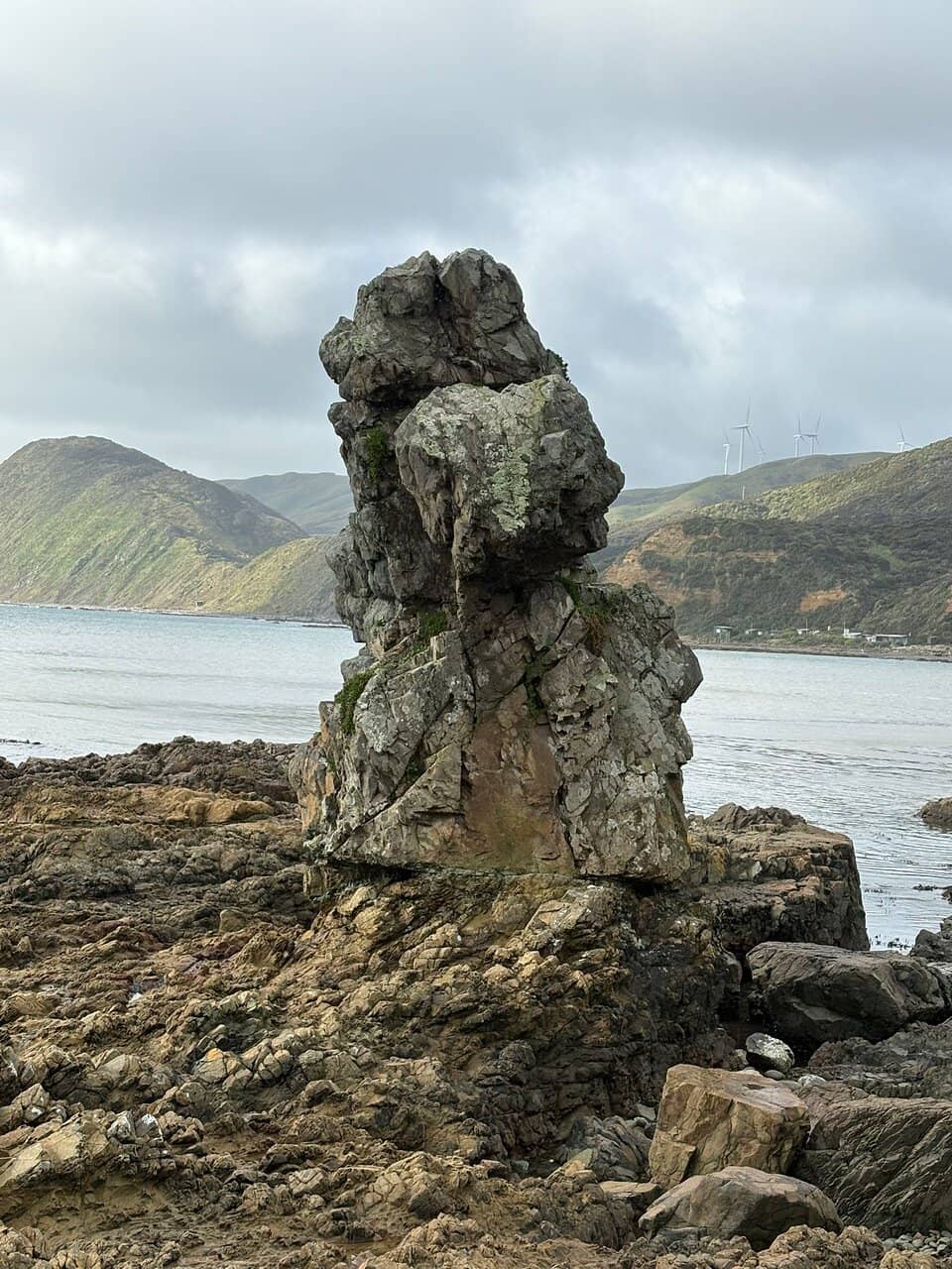 Vertical photo