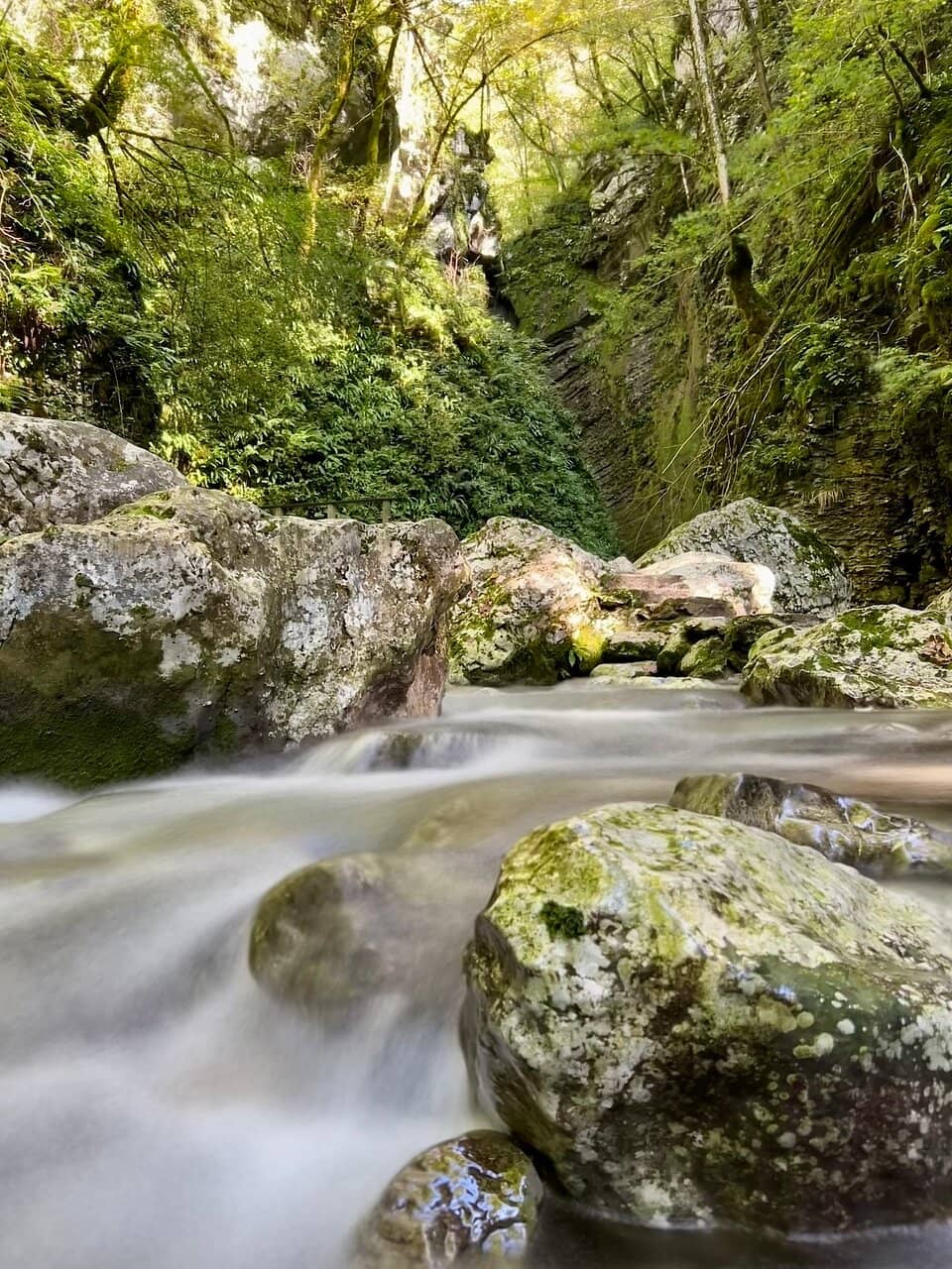 The Wooden Viewing Platform