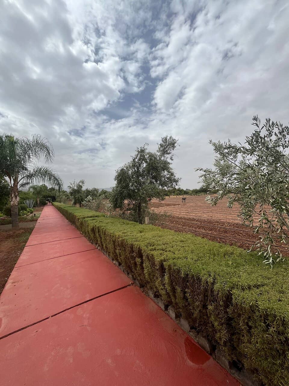 Organic Gardens & Fruit Orchards