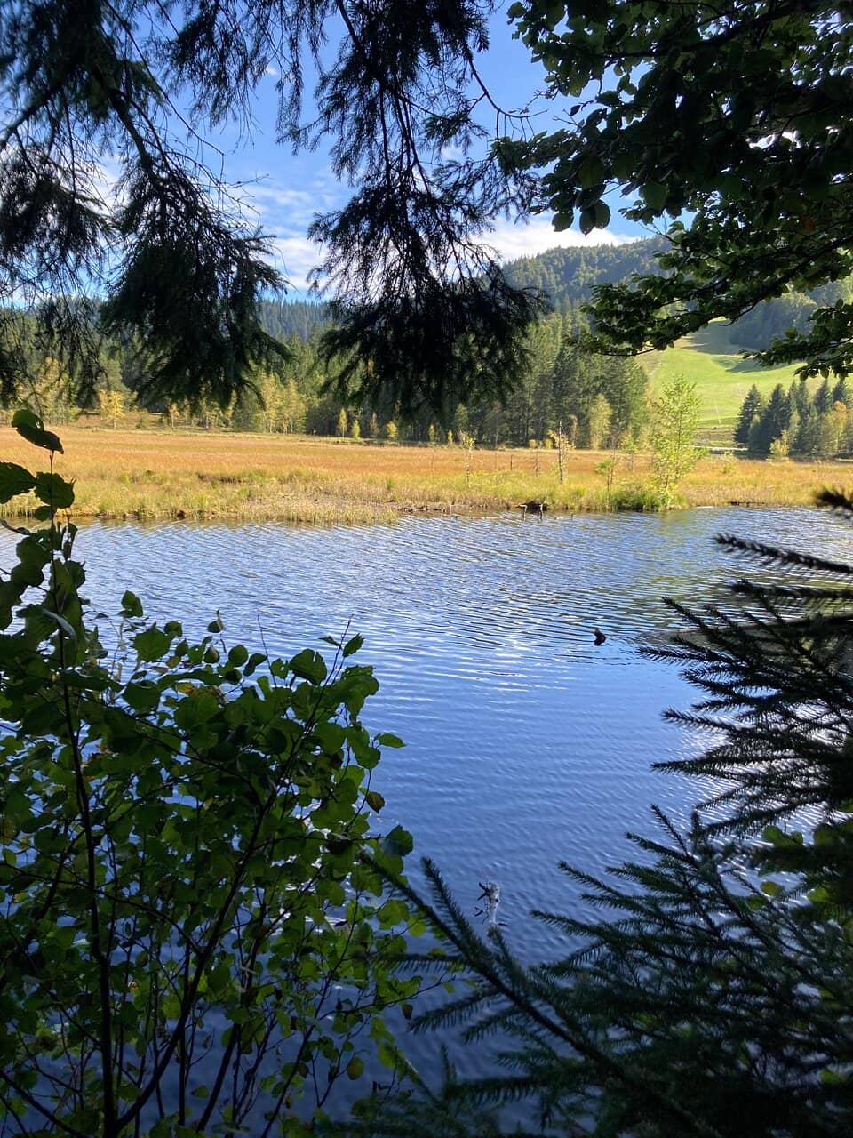 Perimeter Walking Path