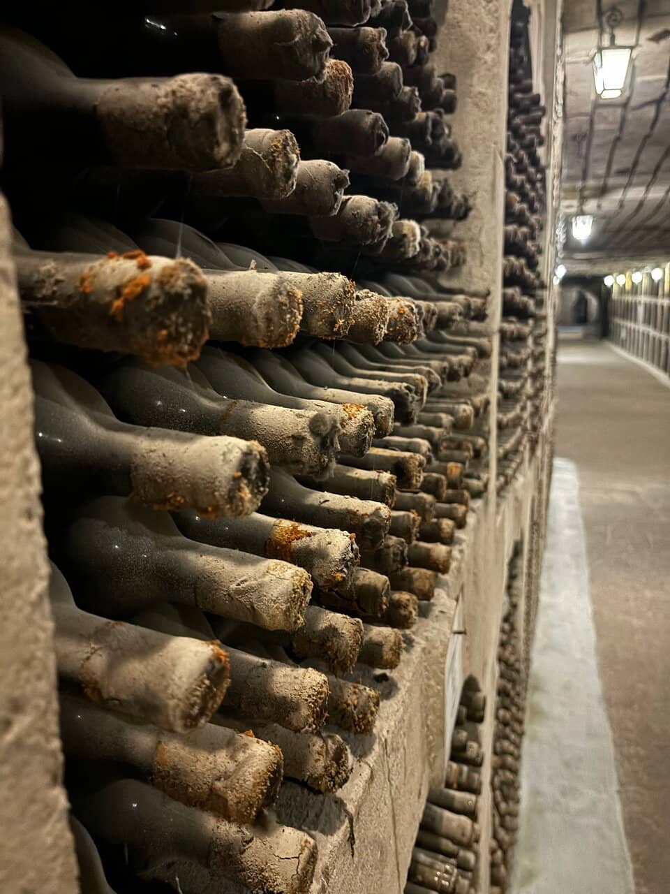 The Underground Labyrinth