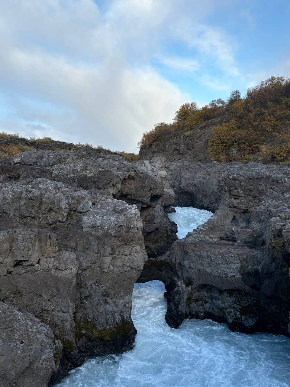 Vertical photo