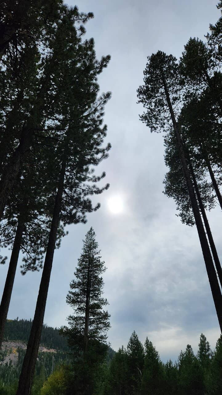 Vertical photo
