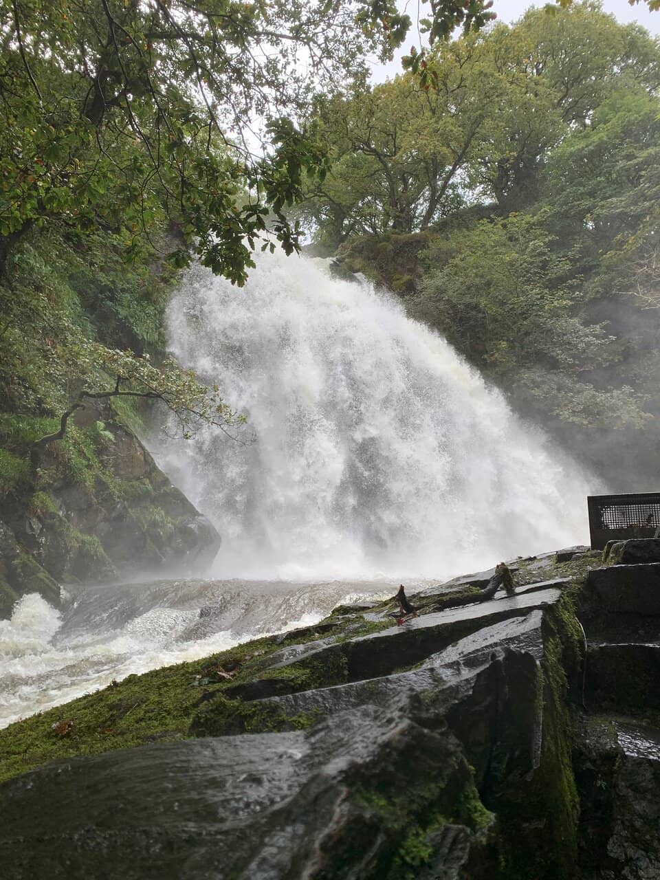 The Grand Plunge