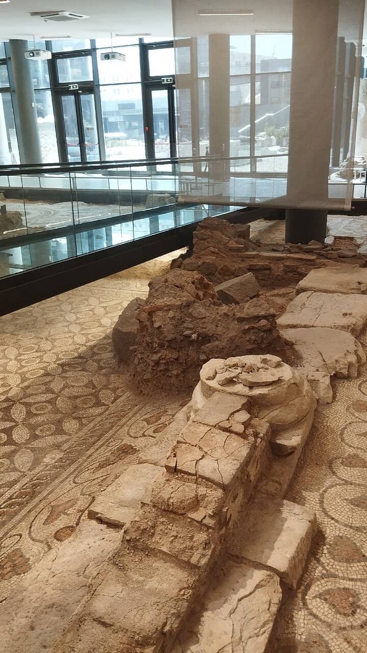 Restoration Insights